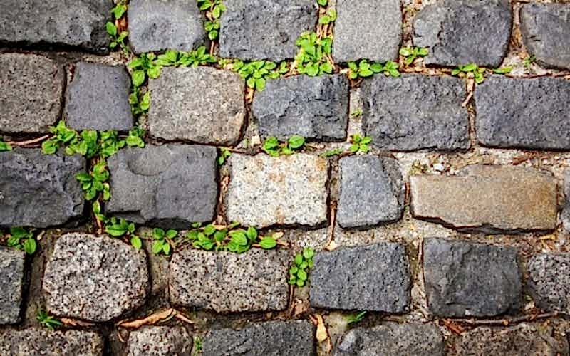 neden arnavut kaldırımı deniyor